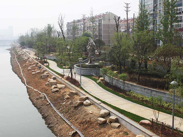 案例展示（路边绿化）